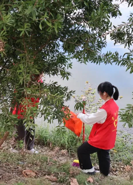 image.png 图片